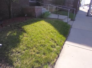 Landscaping by Freddie Wilson for Mercedez B. in Milwaukee, WI