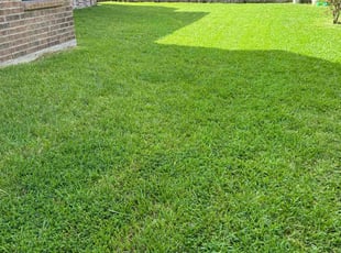 Travis F.'s Lawn Care service result