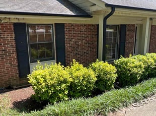 Leaf Removal by Matthew Lynough for Keith B. in Raleigh, NC