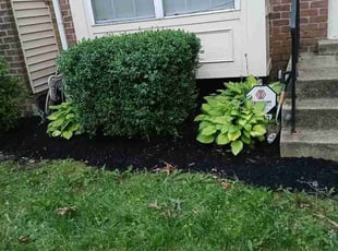 Mark P.'s Flower Bed Weeding service result