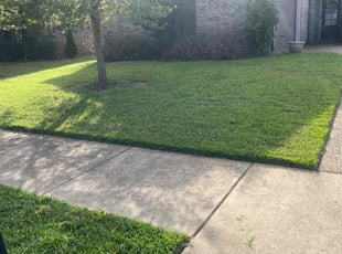 Nicky N.'s Lawn Care service result