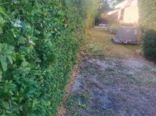 Bush Trimming by Frank Furia for Tammy A. in West Palm Beach, FL