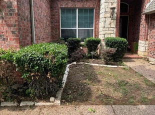 Bush Trimming by Dusty Posey for cheri R. in Denton, TX