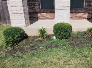 Bush Trimming by Analicia Garcia for Mohamed N. in Round Rock, TX