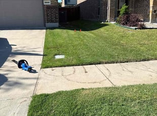 Cleanups by Nayled Colmenares for Chessly N. in McKinney, TX