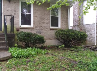 Bush Trimming by Robert Westwood for Jennifer F. in Louisville, KY