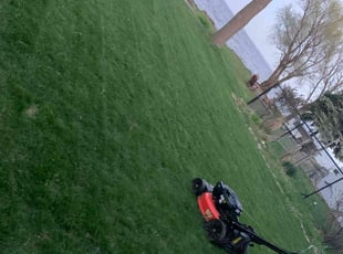 Kelly M.'s Lawn Care service result