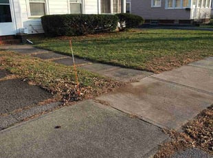 Bush Trimming by Chad Holzinger for Mark S. in Rochester, NY