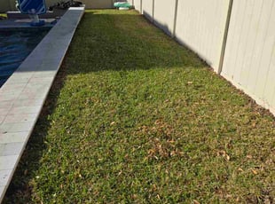 Leaf Removal by Aneudy Roldan for SARGE S. in Oviedo, FL