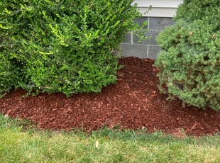 Mulching by Stephen Utley for Larue S. in Richmond, VA