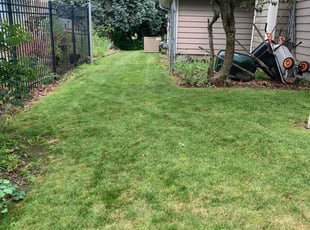 John H.'s Yard Cutting service result