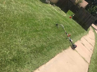 Carolyn B.'s Lawn Maintenance service result