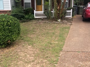 Bush Trimming by DeAnthony Streeter for Al W. in Memphis, TN