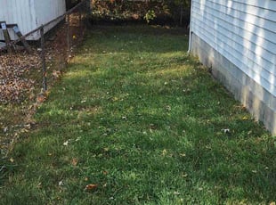 Leaf Removal by Erik Bullens for John S. in Indianapolis, IN