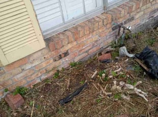 Cleanups by Terry Felo for Karen D. in Harvey, LA