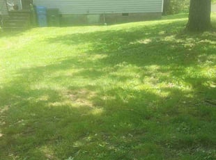 Cleanups by Nathan Christiansen for Cleveland C. in Chattanooga, TN