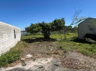 Bush Trimming by Daniel Gonzalez for James M. in Lakeland, FL