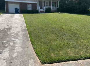 Revenda B.'s Bush Trimming service result