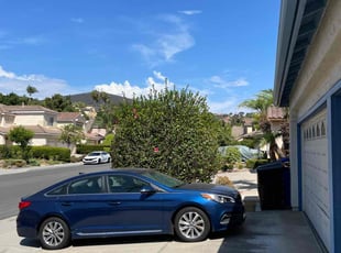 Bush Trimming by Nicholas Poulsen for Brian M. in San Diego, CA