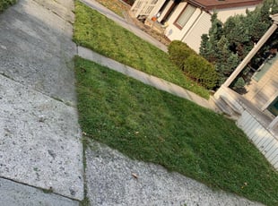 Cleanups by Kyle Yacko for Doris G. in Roseville, MI