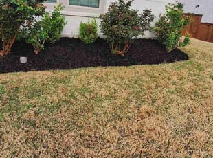 Mulching by Kevin (Jesus) Valencia for MURALI J. in Frisco, TX