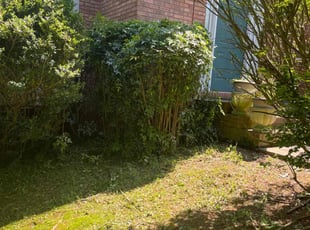 Bush Trimming by Jonathan Clark for Jane L. in Suwanee, GA