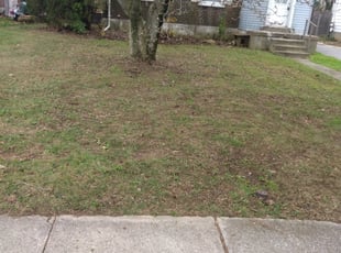 Cleanups by David Moyer for Claudio R. in Allentown, PA