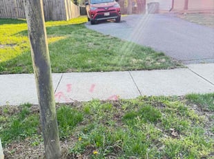 Leaf Removal by Carlos Portillo for Pat L. in Fort Washington, MD