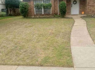 Bush Trimming by John Hartford for Ray M. in Plano, TX