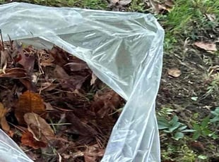 Cleanups by James Mozelle for Tanya B. in Norfolk, VA