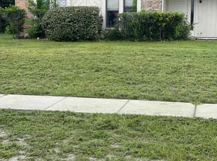 Reza R.'s Bush Trimming service result