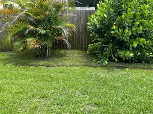 Landscaping by Tavares Parks for Cassandra C. in Cocoa, FL