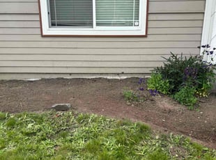 Weeding by John Faccone for Amber M. in Sumner, WA