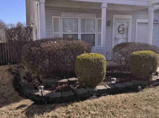 Melissa H.'s Lawn Maintenance service result