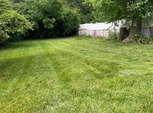 Paul B.'s Lawn Mowing Service service result