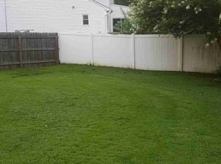 Karen H.'s Lawn Mowing service result