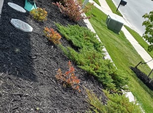 Weeding by Cassandra Blackson for James E. in Fort Mill, SC