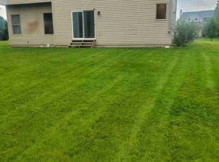 Matthew J.'s Yard Cutting service result