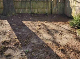 Leaf Removal by Michael Franz for John T. in Chesterfield, VA