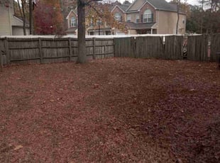 Leaf Removal by Willie Williams for David V. in Newport News, VA