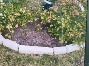 Weeding by Josue Perez Rios for Linda W. in Jarrell, TX