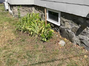 Alyssa B.'s Leaf Removal service result