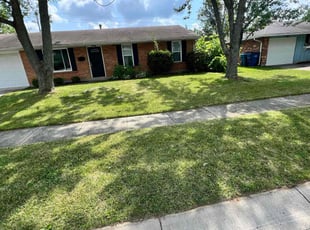 Tish B.'s Lawn Mowing service result