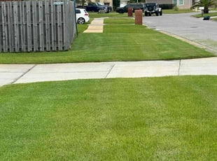 Elizabeth S.'s Lawn Care service result