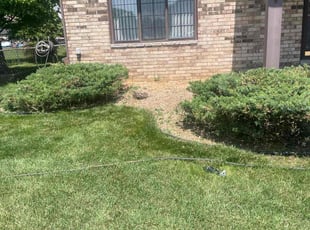 Bush Trimming by Eric Pharms for Keith S. in Sterling Heights, MI