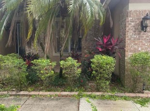 Bush Trimming by Alphonso Sharp for Andrew P. in Lutz, FL
