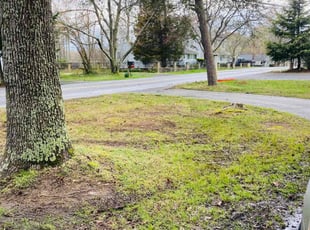 Leaf Removal by Yobani Benitez for Clyde C. in Annapolis, MD