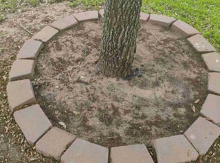 Weeding by Diego Gonzalez for Travis P. in Richmond, TX