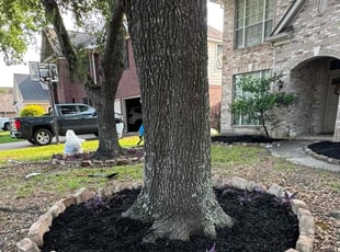 Mulching by Gabriel Cardenas for Christi B. in Deer Park, TX
