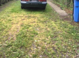 Leaf Removal by Vontae Green for Ayanna H. in Chicago, IL